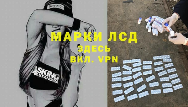 ГАЛЛЮЦИНОГЕННЫЕ ГРИБЫ Богданович