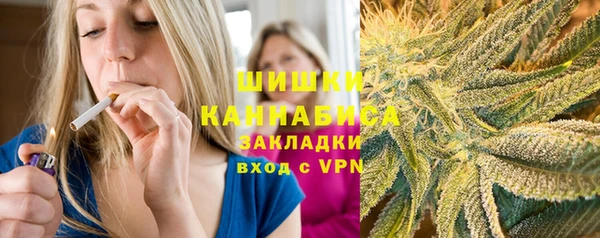 ГАЛЛЮЦИНОГЕННЫЕ ГРИБЫ Богданович