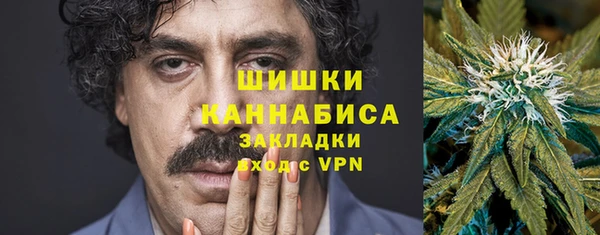 ГАЛЛЮЦИНОГЕННЫЕ ГРИБЫ Богданович