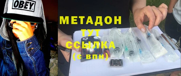 ГАЛЛЮЦИНОГЕННЫЕ ГРИБЫ Богданович
