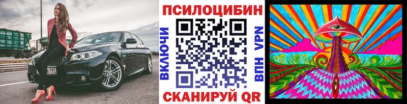 Галлюциногенные грибы MAGIC MUSHROOMS darknet какой сайт Михайлов